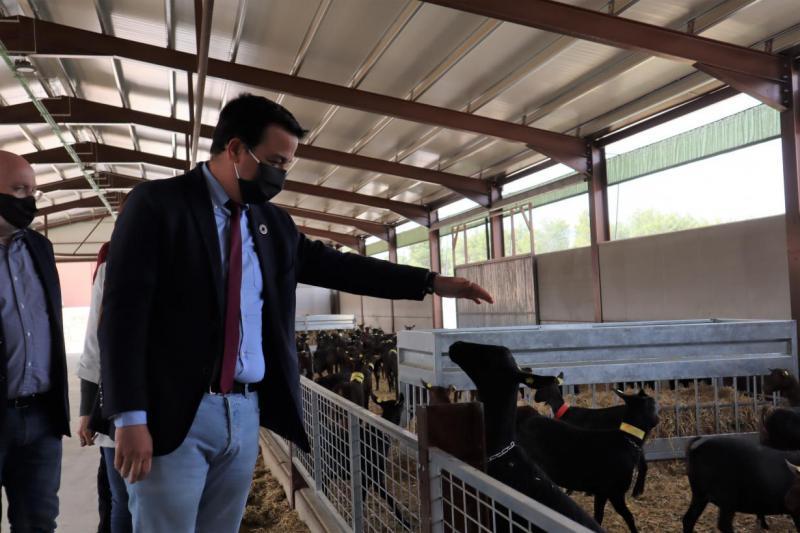 Conoce Castilla-La Mancha-El consejero de Agricultura, Agua y Desarrollo Rural visita las obras de mejora de suministro de agua del polígono industrial y ganadero de Letur