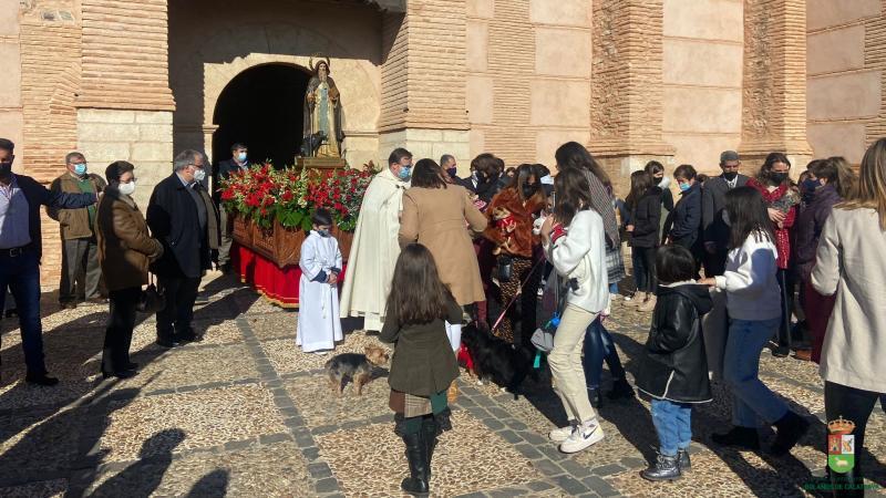 Conoce Castilla-La Mancha-La fiesta de San Antón marcó el fin de semana en Bolaños