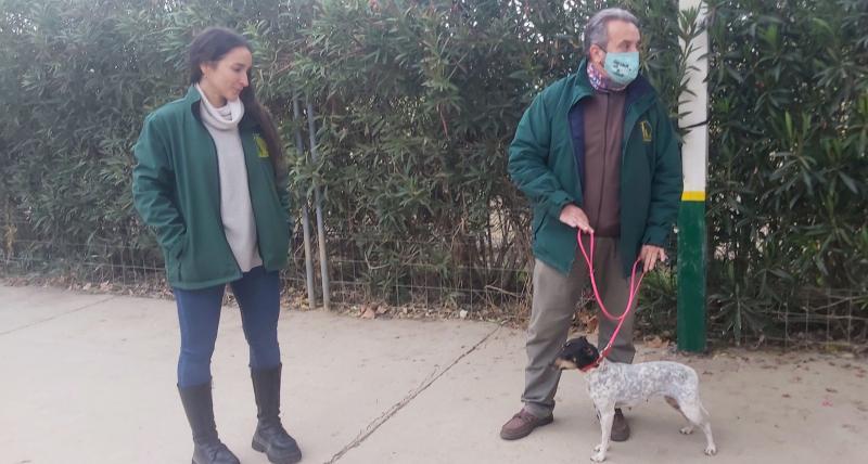 Conoce Castilla-La Mancha-Un proyecto con perros de asistencia acompañará a víctimas de violencia de género en Ciudad Real
