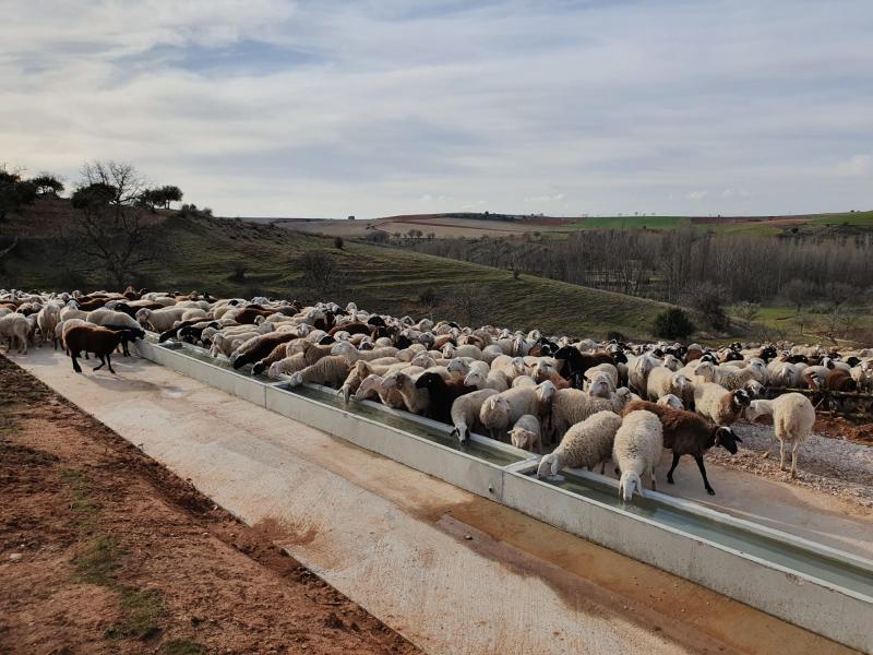 Conoce Castilla-La Mancha-La Diputación de Guadalajara subvenciona nuevas infraestructuras agrarias a asociaciones de Angón, Atienza y Mondéjar