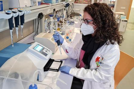 Conoce Castilla-La Mancha-Una investigación de la UCLM apunta a una posible diana terapéutica contra el alzhéimer